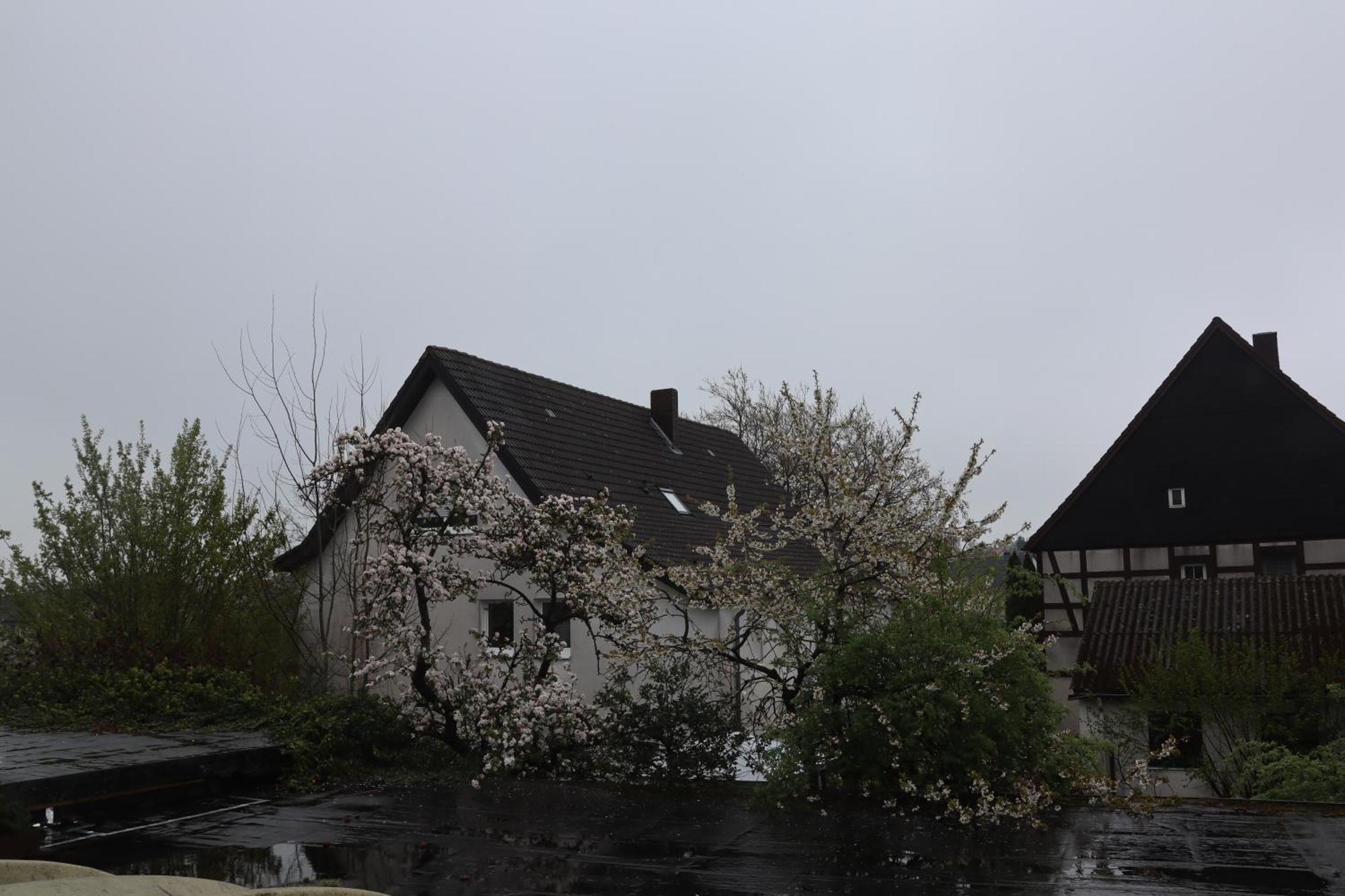 Hotel Haarener Hof Bad Wünnenberg Extérieur photo